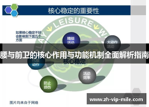 腰与前卫的核心作用与功能机制全面解析指南 腰与前卫的核心作用与功能机制全面解析指南