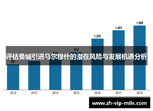 评估曼城引进马尔穆什的潜在风险与发展机遇分析 评估曼城引进马尔穆什的潜在风险与发展机遇分析