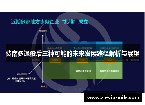 费南多退役后三种可能的未来发展路径解析与展望 费南多退役后三种可能的未来发展路径解析与展望