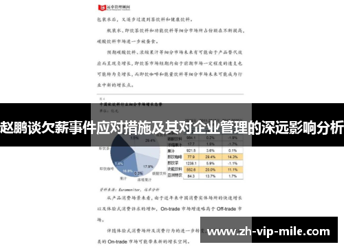 赵鹏谈欠薪事件应对措施及其对企业管理的深远影响分析 赵鹏谈欠薪事件应对措施及其对企业管理的深远影响分析