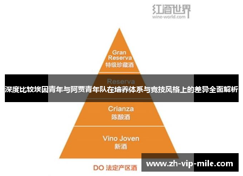 深度比较埃因青年与阿贾青年队在培养体系与竞技风格上的差异全面解析 深度比较埃因青年与阿贾青年队在培养体系与竞技风格上的差异全面解析
